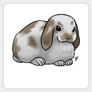 Small Mammal - Rabbit - Holland Lop Brown and White Sticker